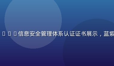 91看片平台ISO27001信息安全管理体系认证证书展示，蓝紫色证书设计，专业权威感